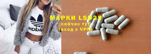 индика Бугульма