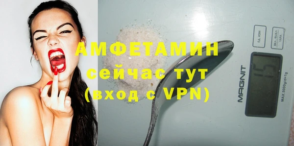 индика Бугульма