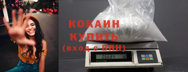 индика Бугульма