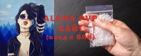индика Бугульма