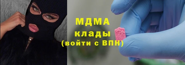 дурь Бородино