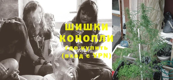 индика Бугульма