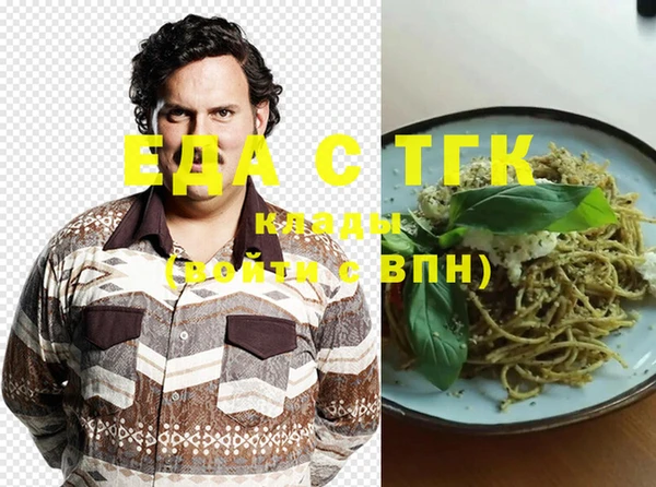 индика Бугульма