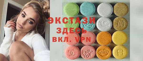 индика Бугульма
