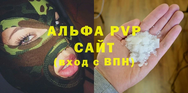индика Бугульма