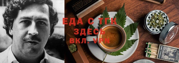 индика Бугульма